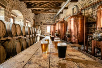 Intérieur d'une brasserie artisanale bretonne avec cuves en cuivre, tonneaux en bois et verres de bière ambrée sur un comptoir en chêne